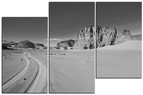 Obraz na plátne - Cesta v púšti 1129QD (105x70 cm)