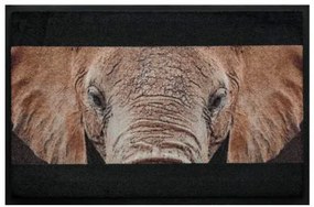 Premium rohožka- zvieratá - slon (Vyberte veľkosť: 75*50 cm)