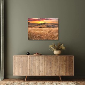 Sklenený obraz pole (70x50 cm)