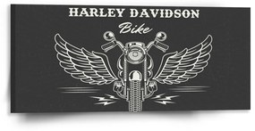 Sablio Obraz Harley-Davidson S krídlami - 110x50 cm