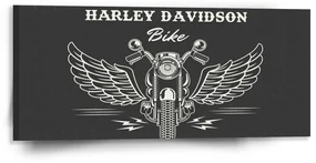 Sablio Obraz Harley-Davidson S krídlami - 110x50 cm