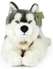 Rappa Plyšový husky s postrojom 60 cm ECO -FRIENDLY