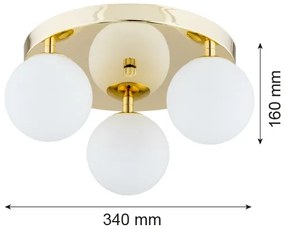 Argon 1413 - Kúpeľňové stropné svietidlo FLAVIO 3xE14/7W/230V IP44