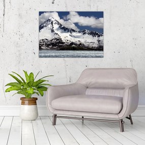 Obraz - Národný park Kenai Fjords (70x50 cm)