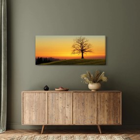 Obraz stromu na poli (120x50 cm)