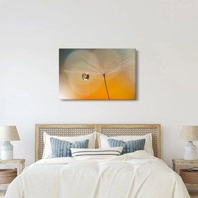 Obraz - Makro kvetu (90x60 cm)