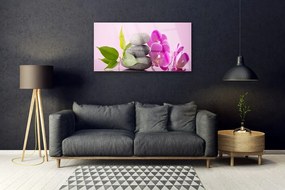 Obraz plexi Orchidea vstavač kamene 100x50 cm