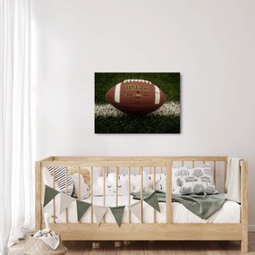 Obraz - Futbal (70x50 cm)