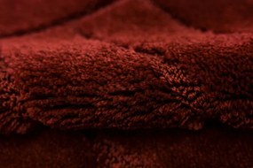 Kúpeľňový koberček Sash Carmine pruhy