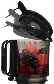 TESLA Electronics SlowJuicer Deluxe - Šnekový odšťavňovač 250W/230V nerez