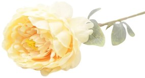 Paeonia 74cm krémová A2010681