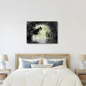 Sklenený obraz - Spln nad hladinou, čiernobiely variant (70x50 cm)