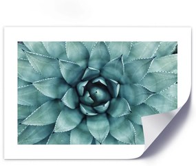 Gario Plagát Modré listy agáve Farba rámu: Bez rámu, Veľkosť: 100 x 70 cm