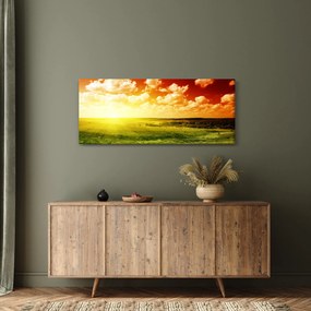Obraz letnej lúky (120x50 cm)