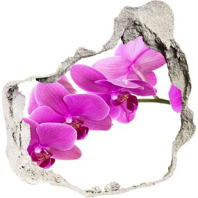 Samolepiaca diera nálepka Ružová orchidea nd-p-67691978