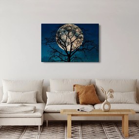 Obraz stromu so splnom (90x60 cm)