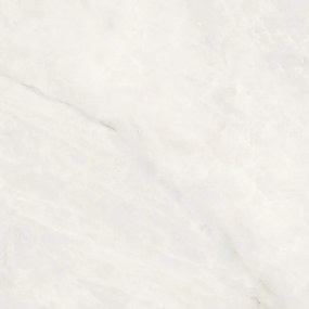 Dlažba Borgia White 60x60 R