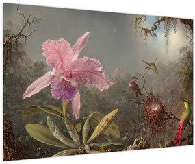 Obraz - Martin Johnson Heade, Cattleya Orchid and Three Hummingbirds, reprodukcia (90x60 cm)