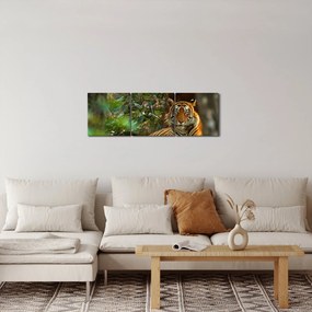 Obraz odpočívajúceho tigra (s hodinami) (90x30 cm)