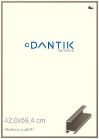 DANTIK rám na obraz 42x59,4 | ALU champagne (Plexi Čiré)