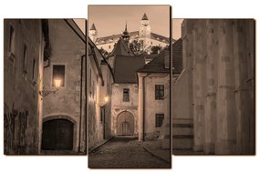 Obraz na plátne - Bratislava staré mesto s hradom vzadu 1265FC (120x80 cm)
