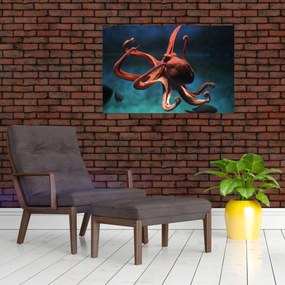 Obraz - Chobotnica (90x60 cm)