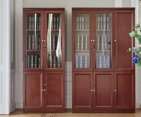 Kancelárska dvojdverová presklená skriňa Elegance 80 cm