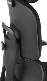 Kancelárska ergonomická stolička Neoseat ROBIN — čierna, nosnosť 150 kg