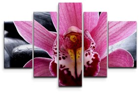 Sablio Obraz - 5-dílný Ružová orchidea - 125x90 cm