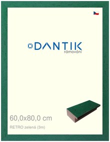 DANTIK rám na obraz 60x80 | RETRO zelená (Plexi Čiré)