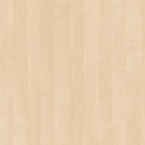 Kovová šatníková skrinka S1, 2-dverová, 1850 x 600 x 500 mm, mechanický kódový zámok, laminované dvere, breza
