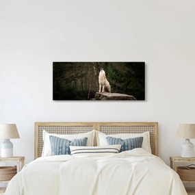 Obraz - Vytie vlka (120x50 cm)