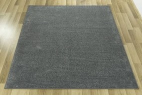 Koberec Forest 76 sivý