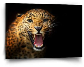Sablio Obraz Gepard 2 - 60x40 cm