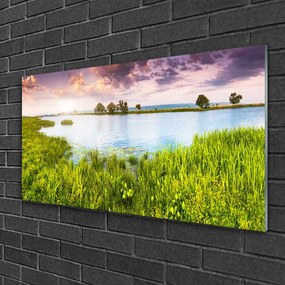 Skleneny obraz Tráva jazero príroda 120x60 cm