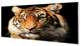 Obraz na akrylátovom skle Tiger 120x60 cm