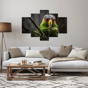 Obraz papagája (150x105 cm)