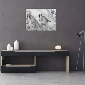 Obraz - Vtáčik v zime (70x50 cm)