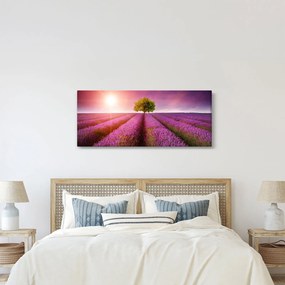 Obraz poľa s levanduľami (120x50 cm)