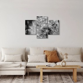 Obraz - páperie púpav (90x60 cm)