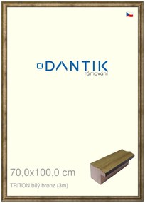 DANTIK rám na obraz 70x100 | TRITON bílý bronz (Plexi Čiré)