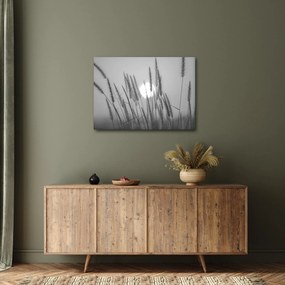 Obraz - Lúka pri západe slnka (70x50 cm)