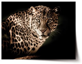 Sablio Plagát Leopard - 90x60 cm