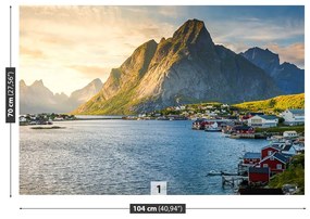 Fototapeta Vliesová Fjord nórska 312x219 cm