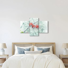 Obraz zmrznutých šípok (90x60 cm)