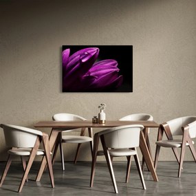 Obraz - Kvapka vody (90x60 cm)