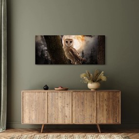 Obraz sovy (120x50 cm)