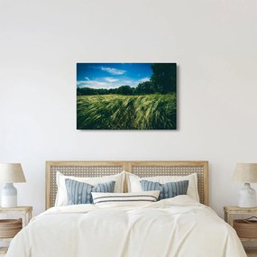 Obraz lúky a lesa (90x60 cm)
