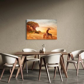 Obraz - Žirafy v Afrike (90x60 cm)