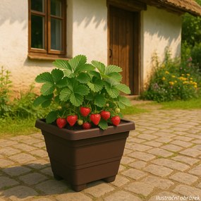 Samozavlažovací kvetináč BERGAMOT, čokoláda, Plastia, 50 x 50 cm